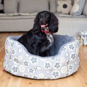 Poppy in the Poppy & Rufus luxury dog bed in poppy fabric