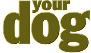 your dog
